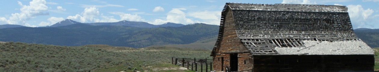 The Great Doroski Road Trip