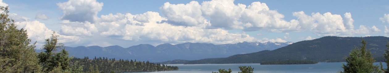 The Great Doroski Road Trip