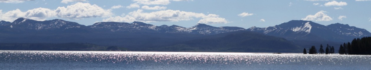 The Great Doroski Road Trip