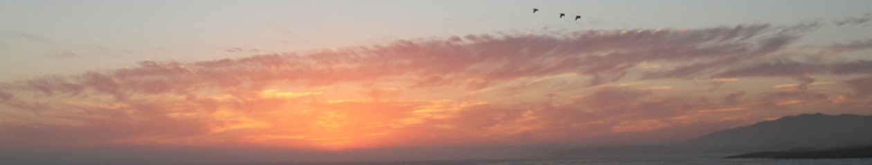 The Great Doroski Road Trip