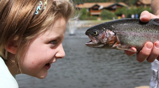 Day 14 – On the Road Again