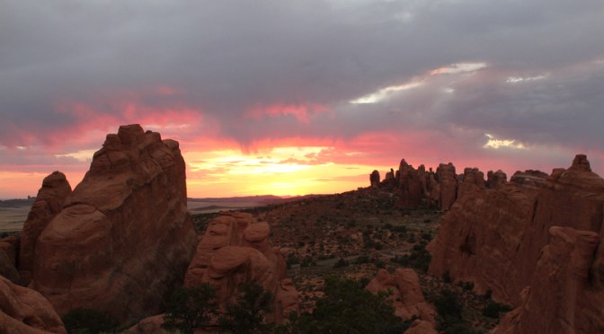 Day 16 – Holy $&#% Look at That One!