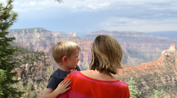 Day 20 – The Grand Canyon