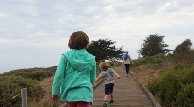 Day 23 – Homestretch