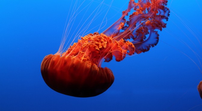 Day 25 – The Most Peaceful Place in the World