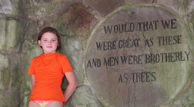 Day 27 – Walking With Giants